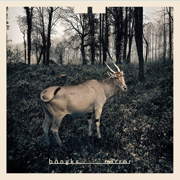 |   | Bangks - Mirror (LP) | Records on Vinyl