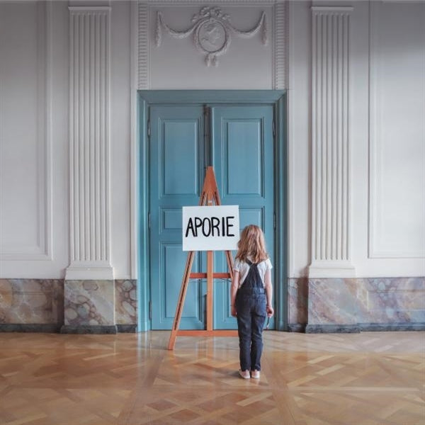 |  Vinyl LP | Mr. Linus - Aporie (LP) | Records on Vinyl
