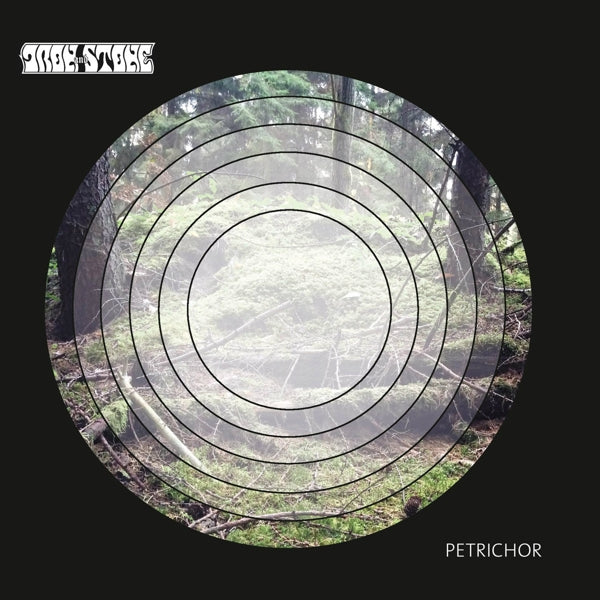 |  Vinyl LP | Iron & Stone - Petrichor (2 LPs) | Records on Vinyl