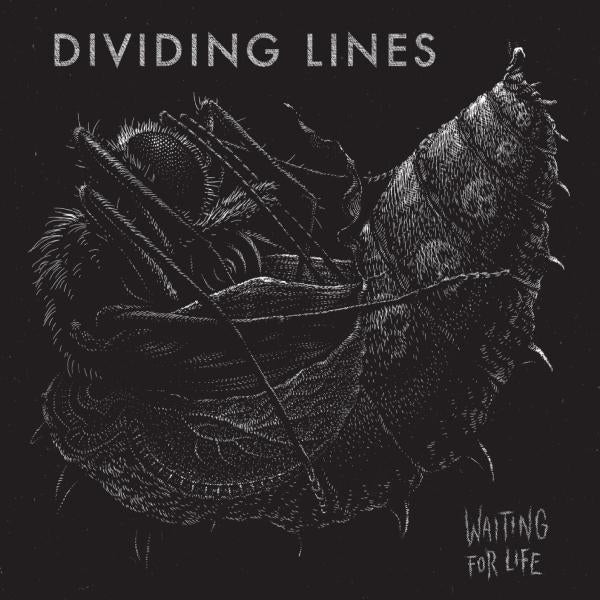 |  Vinyl LP | the Dividing Line - Waiting For Life (LP) | Records on Vinyl
