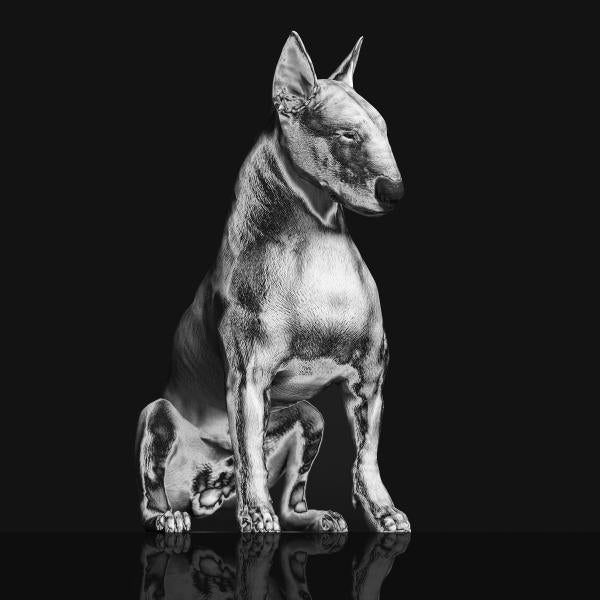 |  Vinyl LP | Riskee & the Ridicule - Platinum Statue (LP) | Records on Vinyl