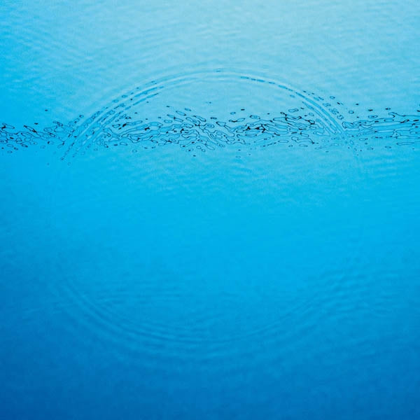 |  Vinyl LP | Caribou - Suddenly (LP) | Records on Vinyl