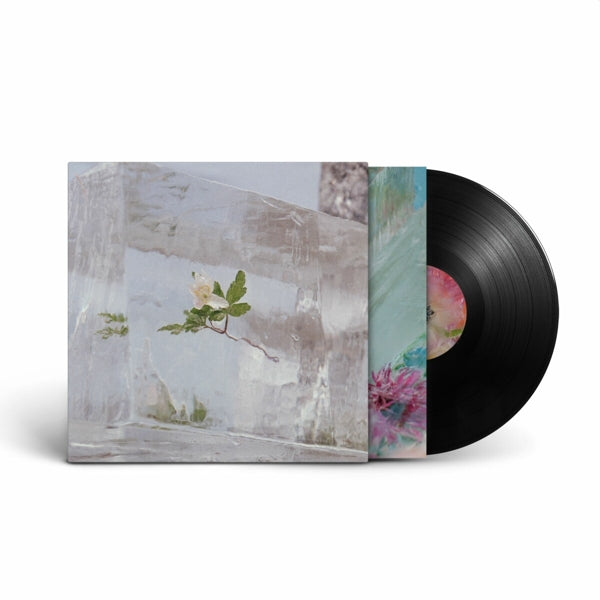 |  Vinyl LP | Efterklang - Windflowers (LP) | Records on Vinyl