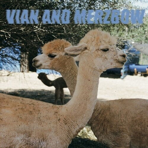 |  Vinyl LP | Pedro & Merzbow Vian - Inside Richard Serra Sculptures (LP) | Records on Vinyl