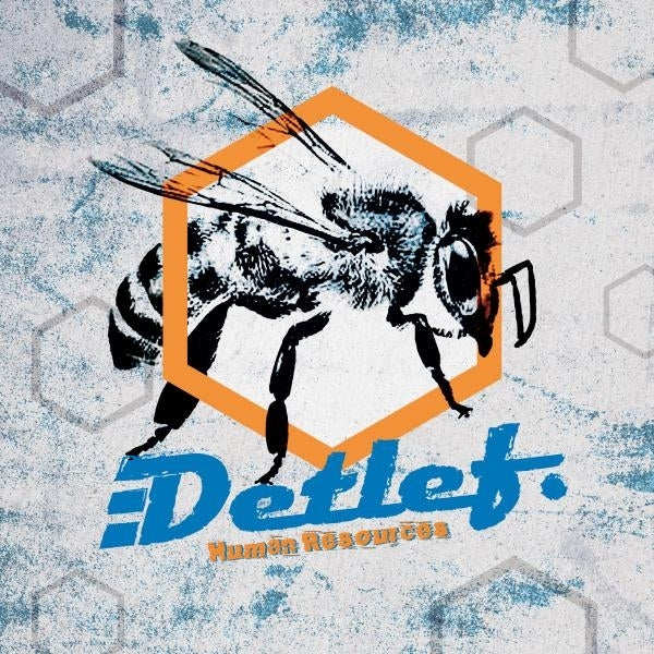 |  Vinyl LP | Detlef - Human Resources (LP) | Records on Vinyl