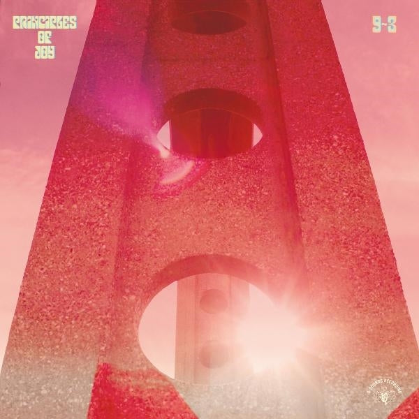 |  Vinyl LP | Principles of Joy - 9-3 (LP) | Records on Vinyl