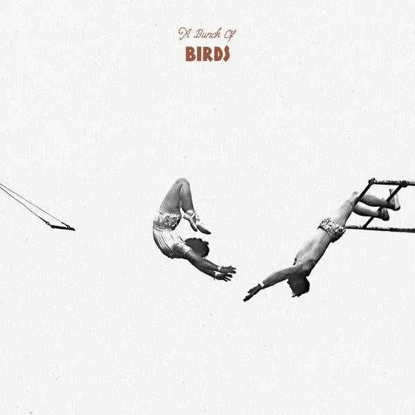 |  Vinyl LP | A Bunch of Birds - A Bunch of Birds (LP) | Records on Vinyl