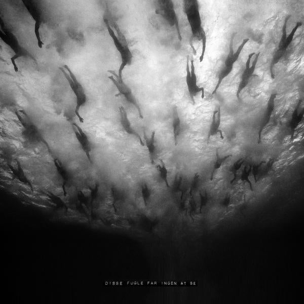 |  Vinyl LP | Morild - Disse Fugle Far Ingen At Se (LP) | Records on Vinyl