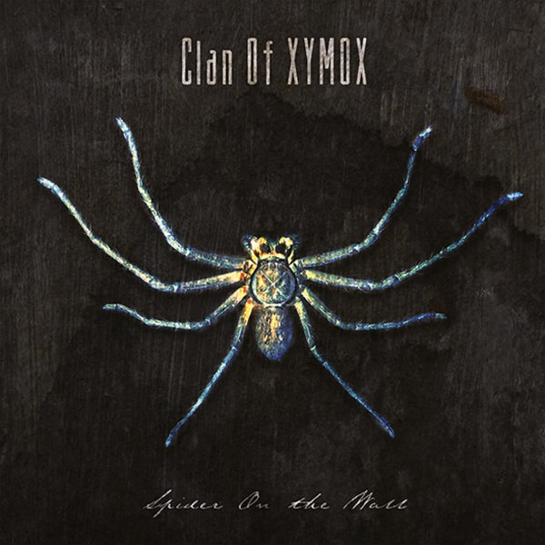 |  Vinyl LP | Clan of Xymox - Spider On the Wall (LP) | Records on Vinyl