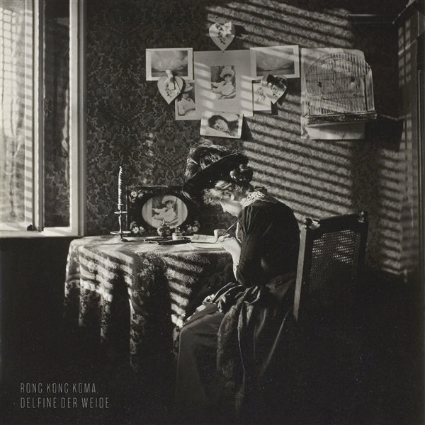 |  Vinyl LP | Rong Kong Koma - Delfine Der Weide (LP) | Records on Vinyl