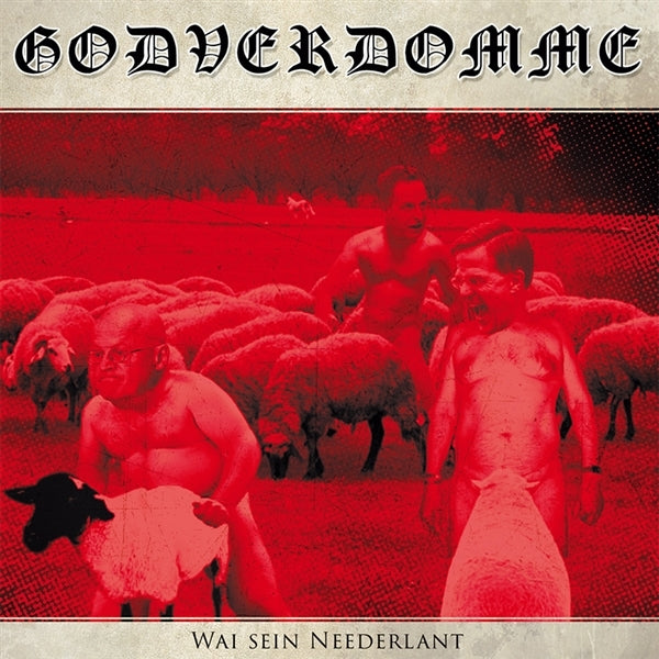 |  Vinyl LP | Godverdomme (Tim Steinford) - Wai Sein Neederlant! (LP) | Records on Vinyl
