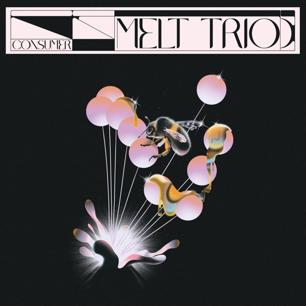 |   | Melt Trio - Consumer (LP) | Records on Vinyl