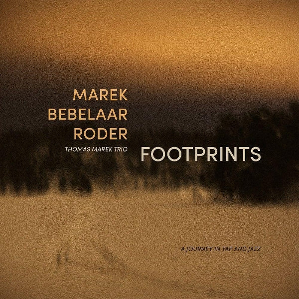|  Vinyl LP | Thomas Marek Trio - Footprints (LP) | Records on Vinyl