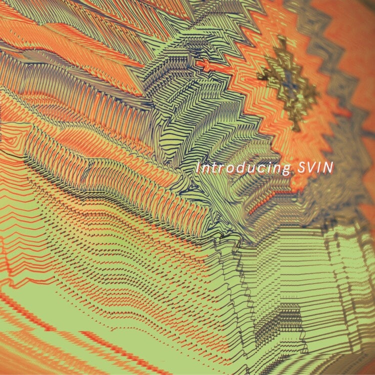 |  Vinyl LP | Svin - Introducing Svin (LP) | Records on Vinyl