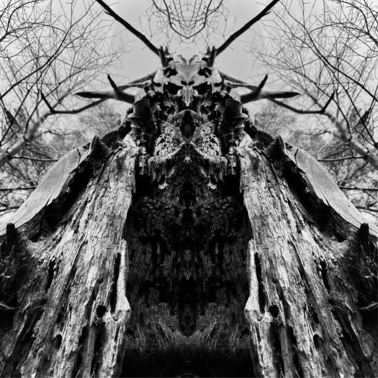 |   | Rulaman - To Serve the Dune (LP) | Records on Vinyl