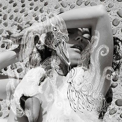 Bjork - Vespertine (2 LPs) Cover Arts and Media | Records on Vinyl