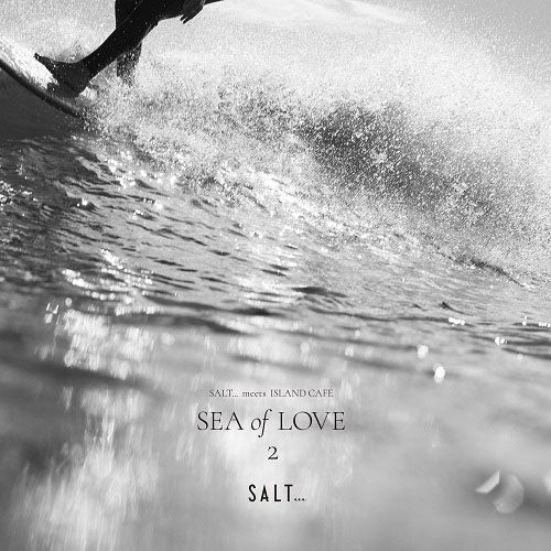 V/A - Salt... Meets Island Cafe -Sea of Love 2- (LP) Cover Arts and Media | Records on Vinyl