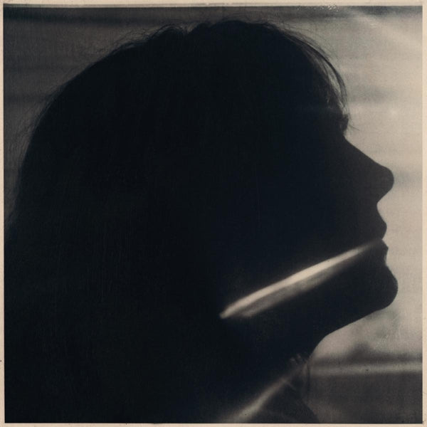 |  Vinyl LP | Sarah Blasko - I Just Need To Conquer This Mountain (LP) | Records on Vinyl