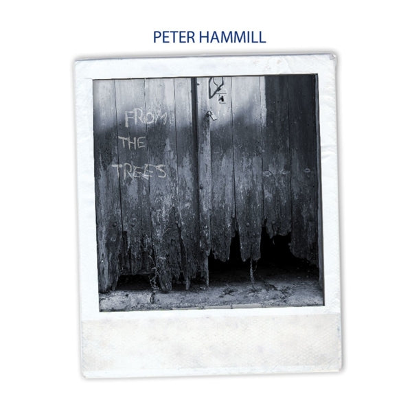 |  Vinyl LP | Peter Hammill - From the Trees (LP) | Records on Vinyl