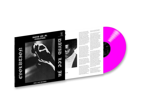 |   | David Lee Jr. - Evolution (LP) | Records on Vinyl