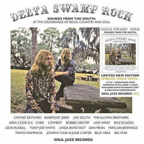 |  Vinyl LP | Various - Delta Swamp Rock (2 LPs) | Records on Vinyl