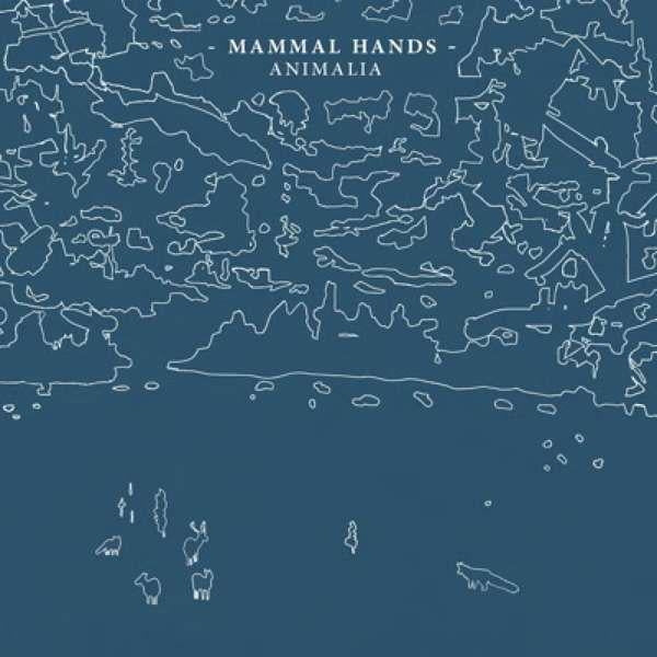 |  Vinyl LP | Mammal Hands - Animalia (LP) | Records on Vinyl