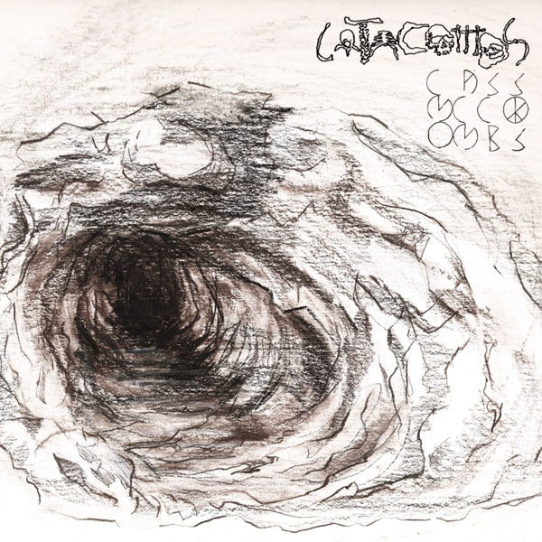 |  Vinyl LP | Cass McCombs - Catacombs (2 LPs) | Records on Vinyl