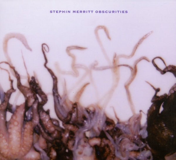 |  Vinyl LP | Stephin Merritt - Obscurities (LP) | Records on Vinyl