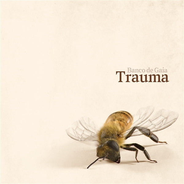 |  Vinyl LP | Banco De Gaia - Trauma (LP) | Records on Vinyl