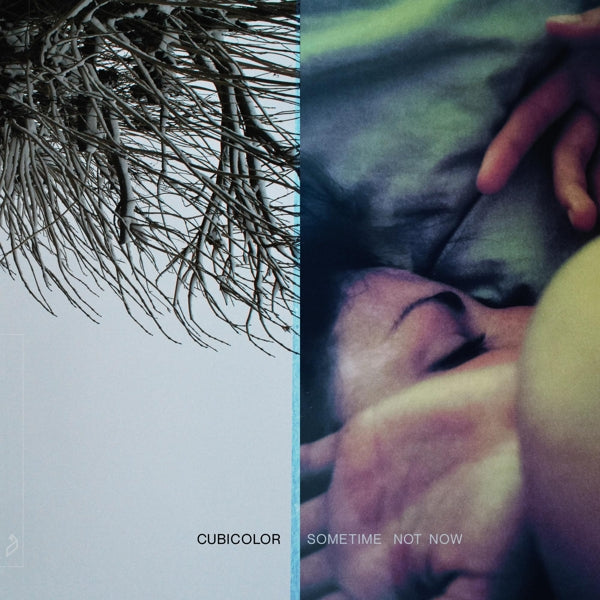 |   | Cubicolor - Sometime Not Now (2 LPs) | Records on Vinyl