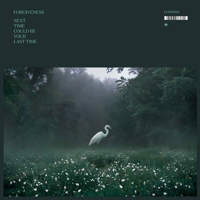 |  Vinyl LP | Forgiveness - Next Time Could Be Your Last Time (LP) | Records on Vinyl