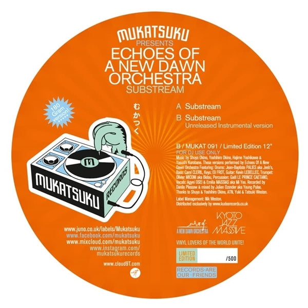 |  12" Single | Echoes of a New Dawn Orchestra - Substream (Single) | Records on Vinyl