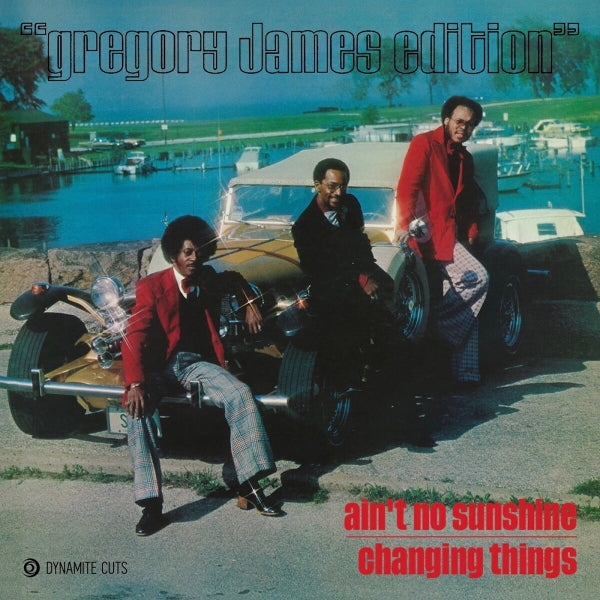 |  7" Single | Gregory James Edition - Aint No Sunshine (Single) | Records on Vinyl