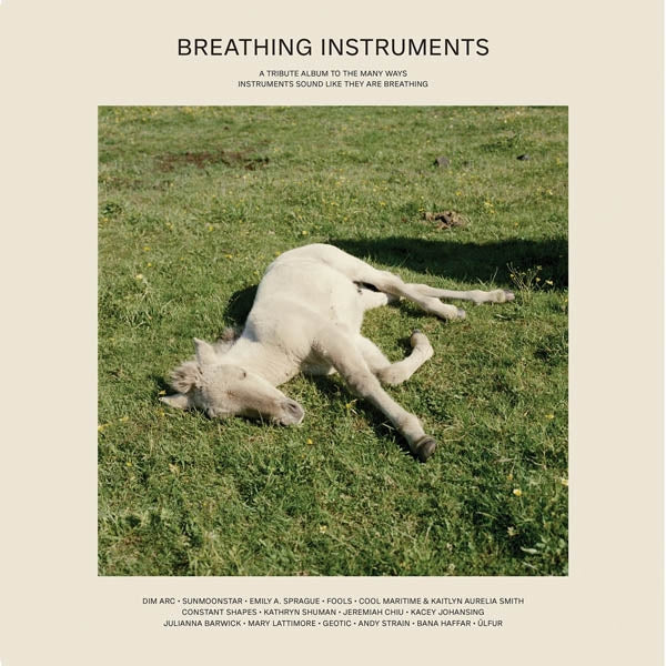 |  Vinyl LP | Various - Breathing Instruments (2 LPs) | Records on Vinyl