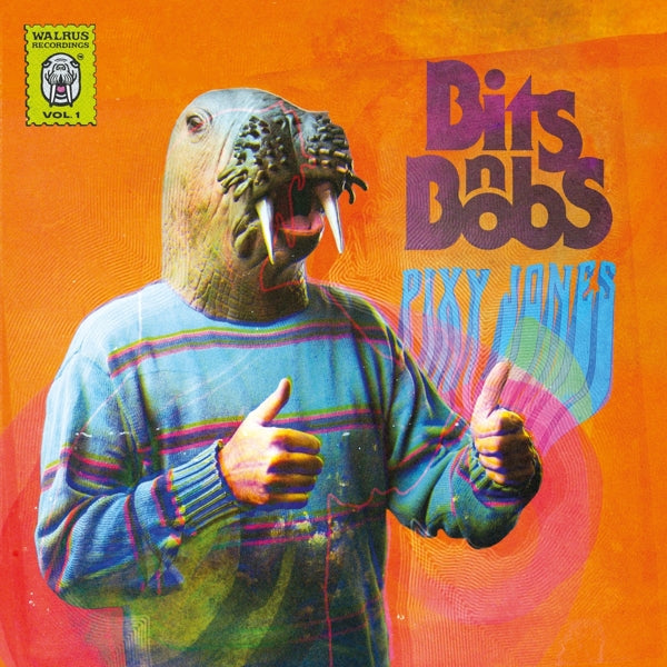 |  Vinyl LP | Pixy Jones - Bits N Bobs (LP) | Records on Vinyl