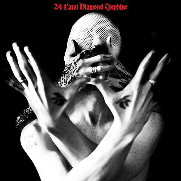 |  Vinyl LP | Avalanche Party - 24 Carat Diamond Trephine (LP) | Records on Vinyl