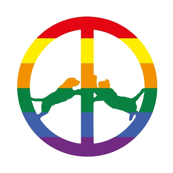 |  Vinyl LP | Hype Williams - Rainbow Edition (LP) | Records on Vinyl