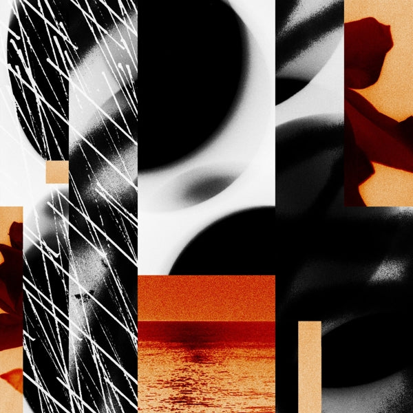 |   | Wen - Ephemera (LP) | Records on Vinyl