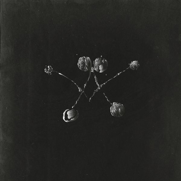 |  Vinyl LP | Waterstrider - Nowhere Now (LP) | Records on Vinyl