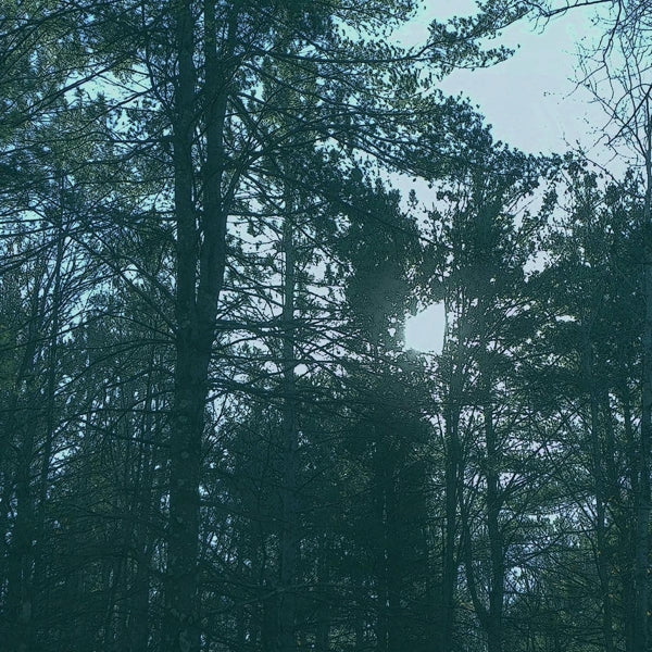 |  Vinyl LP | Ashbringer - Vacant (LP) | Records on Vinyl