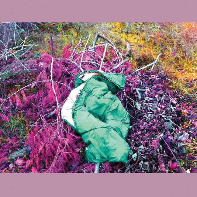 |   | Dreamdecay - N V N V N V (LP) | Records on Vinyl
