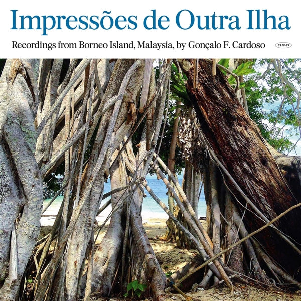 |  Vinyl LP | Goncalo F. Cardoso - Impressoes De Outra Ilha (LP) | Records on Vinyl