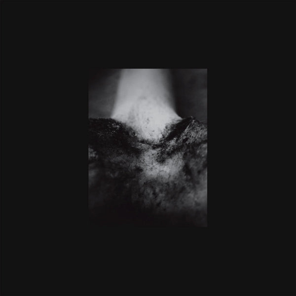 |   | King Eider Common Eider - A Wound of Body (LP) | Records on Vinyl