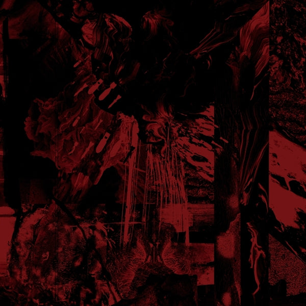 |  Vinyl LP | Vessel of Iniquity - Doorway (LP) | Records on Vinyl