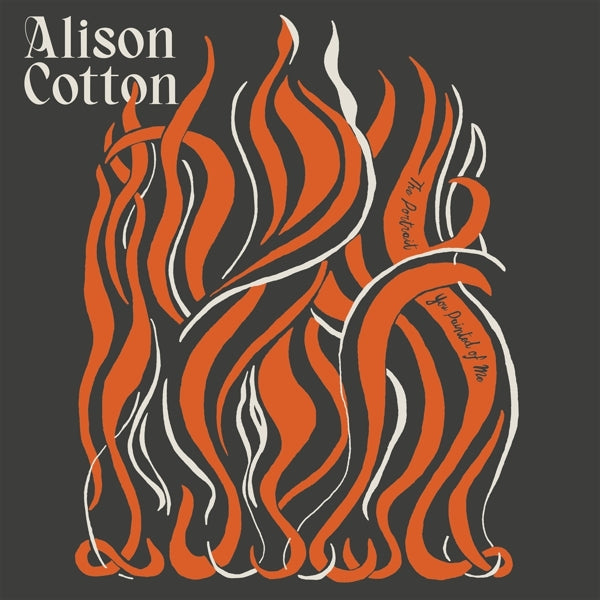 |  Vinyl LP | Alison Cotton - Portrait You Painted of Me (LP) | Records on Vinyl