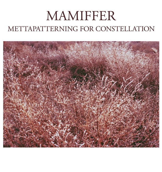 |  Vinyl LP | Mamiffer - Mettapatterning For Constellation (LP) | Records on Vinyl
