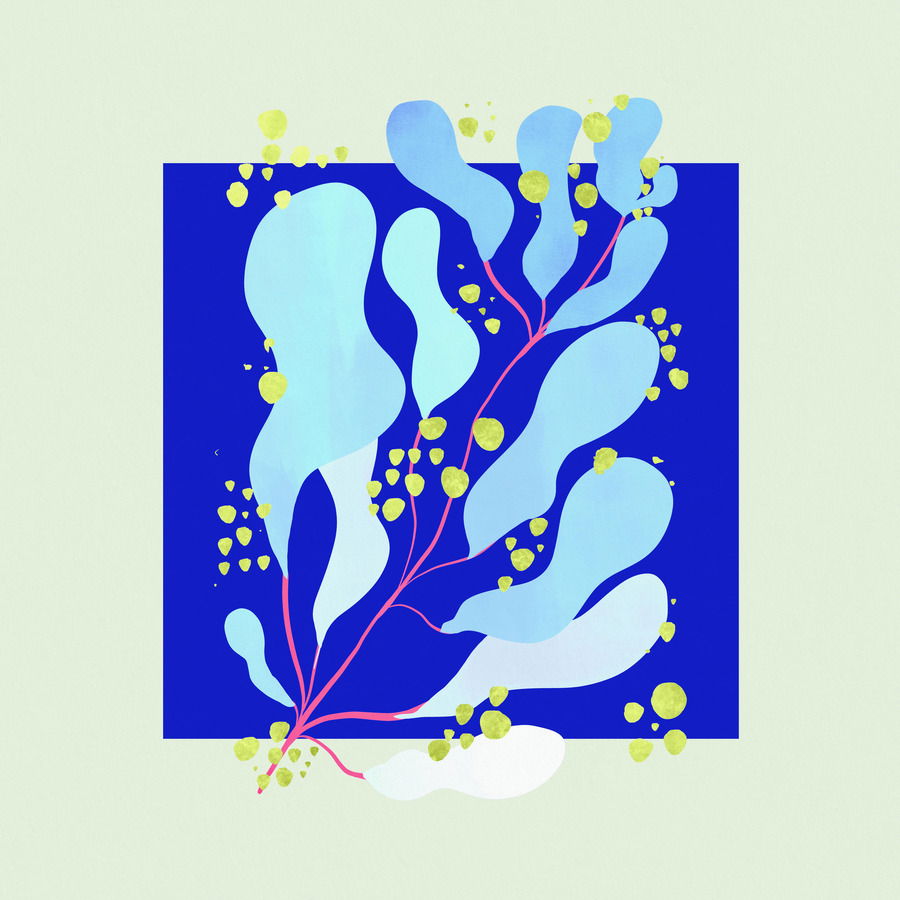 |  Vinyl LP | Salamanda - In Parallel (LP) | Records on Vinyl