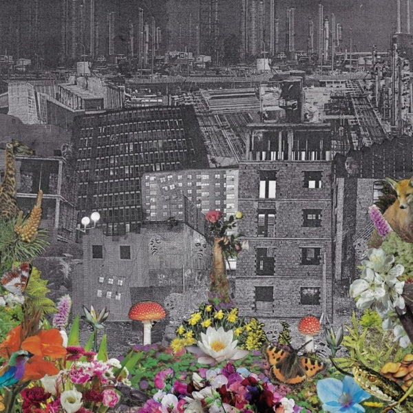 |  Vinyl LP | Bloody Head - Perpetual Eden (LP) | Records on Vinyl
