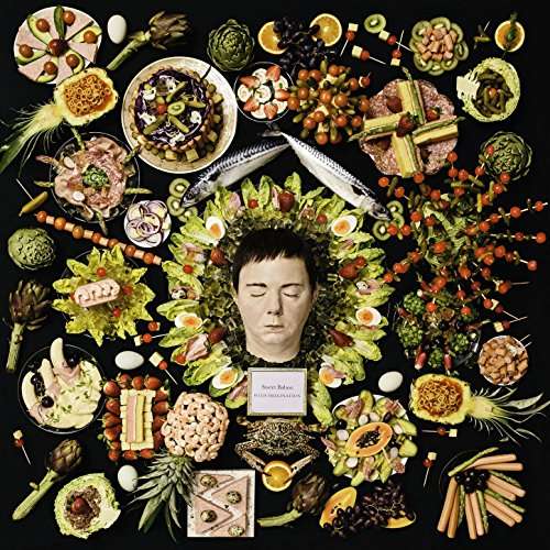 |  Vinyl LP | Sweet Baboo - Wild Imagination (LP) | Records on Vinyl