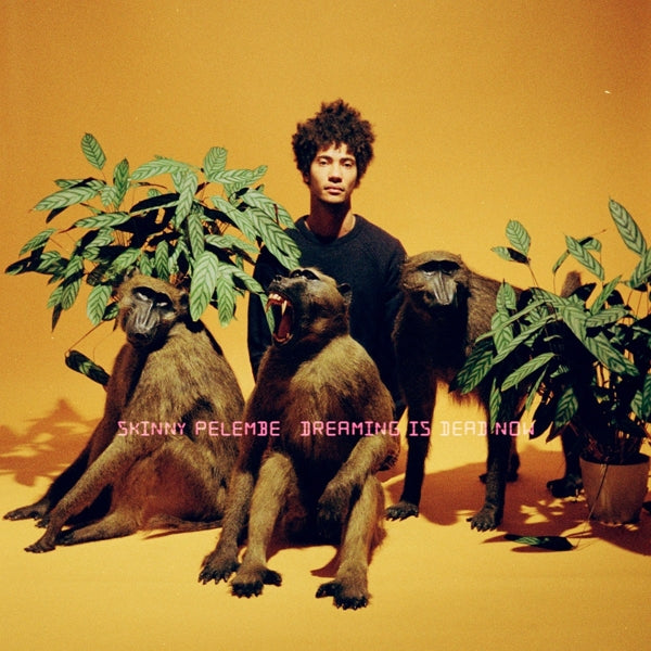 |  Vinyl LP | Skinny Pelembe - Dreaming is Dead Now (LP) | Records on Vinyl